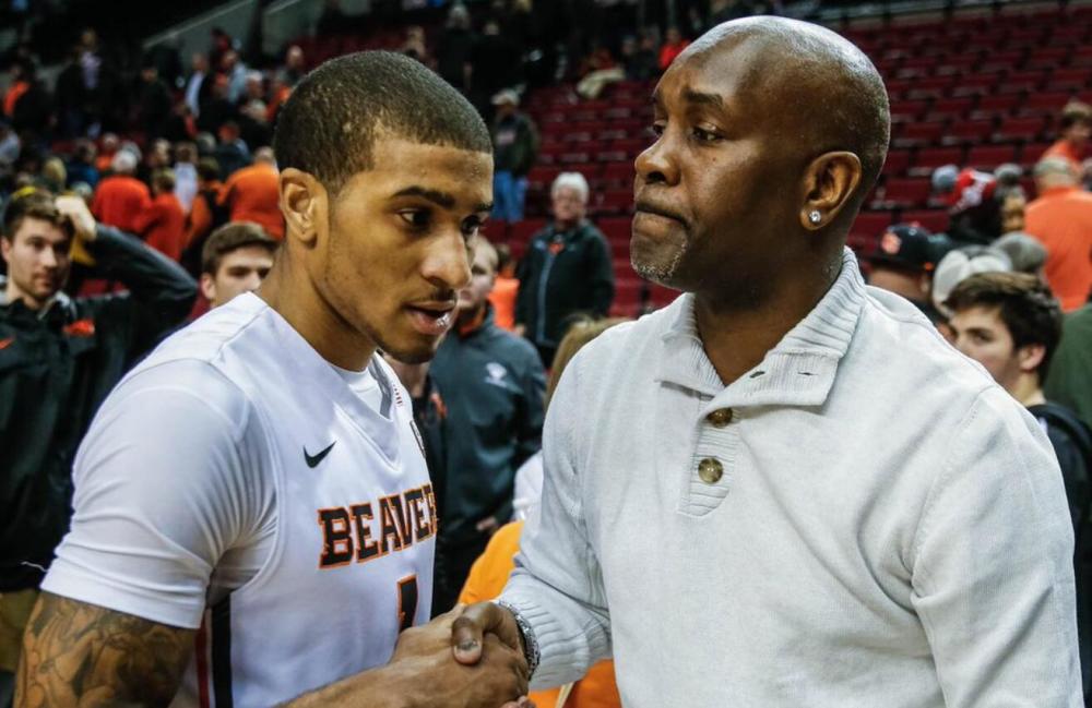 这证明即便 这证明即便